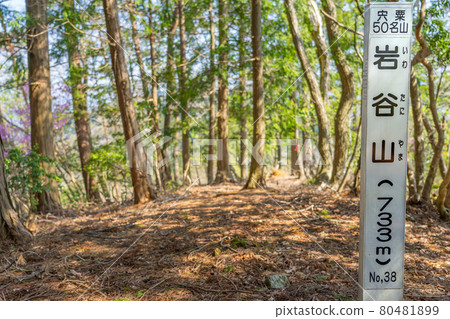 Shiso 50名山Gouyama-Iwataniyama Tour(兵庫縣Shiso-shi Ichinomiya-cho Fukagawaya)*作品評論部分的拍攝位置 Shiso 50名山Gouyama-Iwataniyama Tour(兵庫縣Shiso-shi Ichinomiya-cho Fukagawaya)*作品評論部分的拍攝位置 80481899