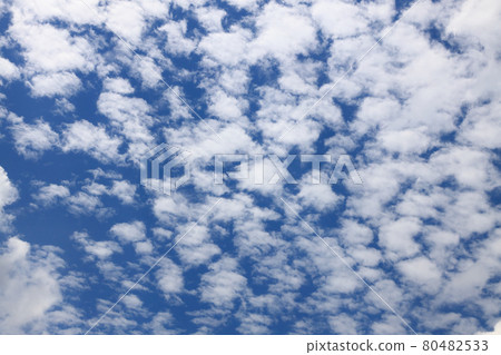 高積雲_Sheepgumo_Oze 80482533