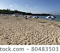 海灘 80483503