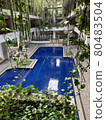 游泳池 80483504