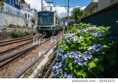 繡球花江之電的鐵道風景 80483872