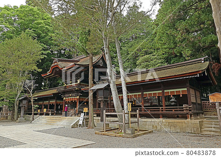 Suwa Taisha Shrine Akimiya (Suwa) Suwa Taisha Shrine Akimiya (Suwa) 80483878