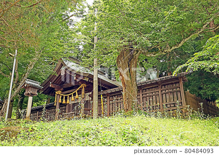 諏訪大社神社前宮（奇諾） 80484093