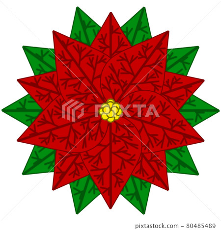 5-leaf poinsettia (red) 80485489