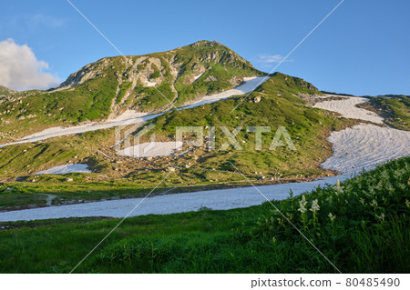Mt. Jodo from the vicinity of Tateyama Murodo Sanso in the evening of summer 80485490