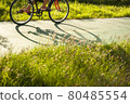 selective focus of road in park and out of focus bike 80485554