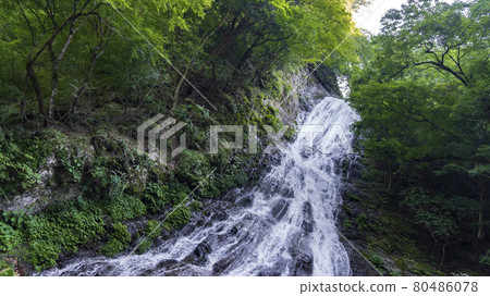 Ryokami山上的“丸神瀑布”[日本100種瀑布]/埼玉縣小鹿野町[秩父多摩啟國立公園] 80486078