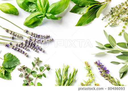 Fresh garden herbs banner with copy space. An overhead flat lay shot 80486093
