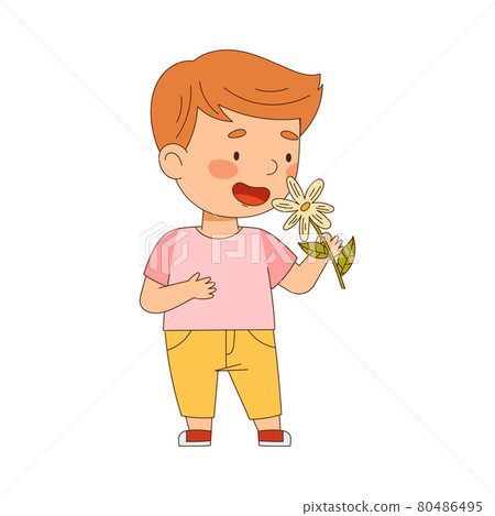 Cute Redhead Boy Holding Flower Bouquet Smelling Aroma and Fragrance Vector Illustration Cute Redhead Boy Holding Flower Bouquet Smelling Aroma and Fragrance Vector Illustration 80486495