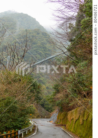 Ayanoteruhaotsubashi with rain pattern Ayanoteruhaotsubashi with rain pattern 80486721