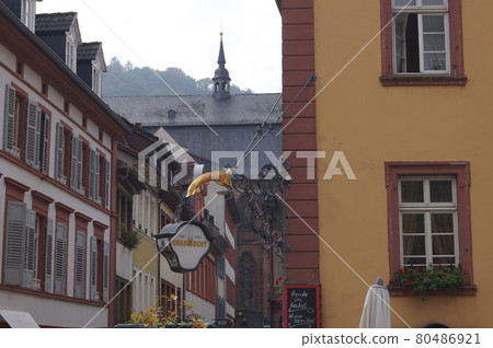 Germany Heidelberg Steinggasse street skyline 80486921