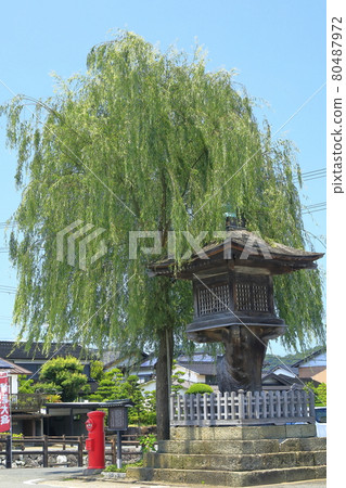 Izushi / Oryu 燈籠和柳樹 80487972