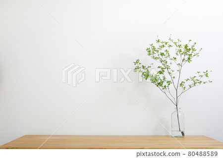 花瓶中展示的 Enkianthus perulatus 80488589