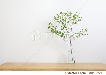 Enkianthus perulatus displayed in a vase 80488596