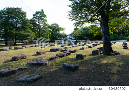 [岡山縣]岡山城 80489502