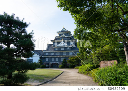 [Okayama Prefecture] Okayama Castle 80489509