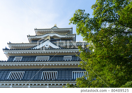 [岡山縣]岡山城 80489525