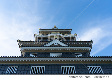 [Okayama Prefecture] Okayama Castle 80489533