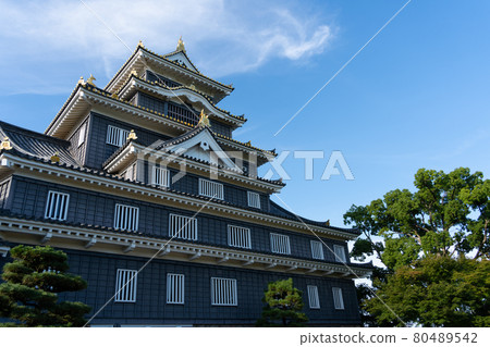 [Okayama Prefecture] Okayama Castle 80489542