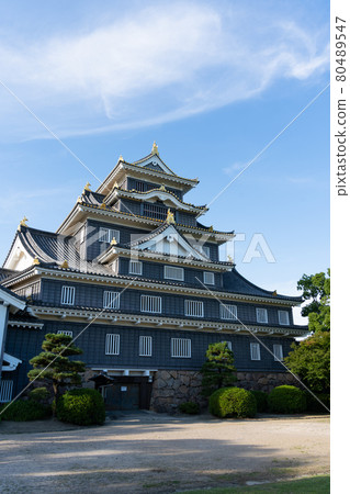 [Okayama Prefecture] Okayama Castle 80489547