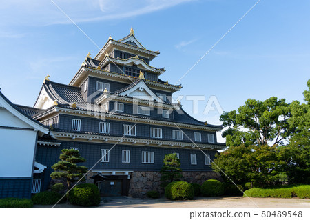 [Okayama Prefecture] Okayama Castle 80489548