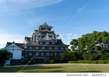 [Okayama Prefecture] Okayama Castle 80489553