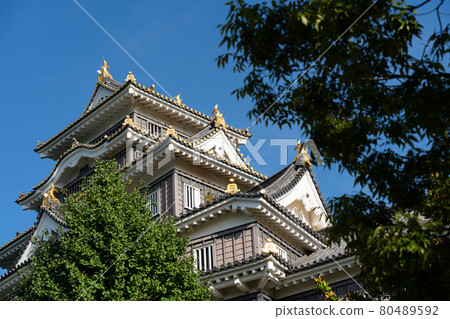 [Okayama Prefecture] Okayama Castle 80489592