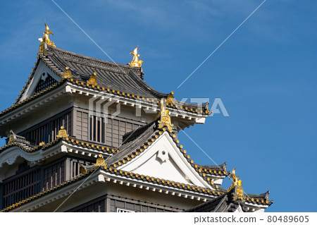 [Okayama Prefecture] Okayama Castle 80489605