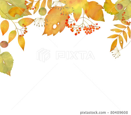Fashionable frame vector material of autumn leaves 80489608