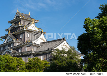 [岡山縣]岡山城 80489890