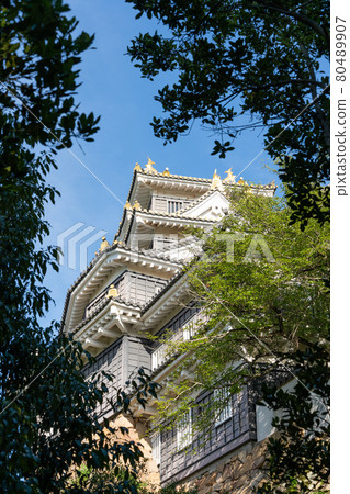[岡山縣]岡山城 80489907