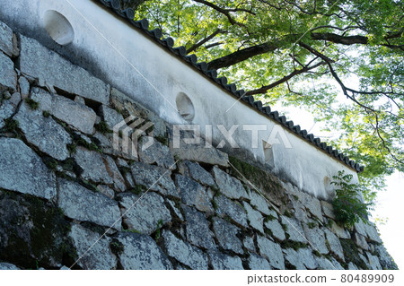 [岡山縣]岡山城 80489909