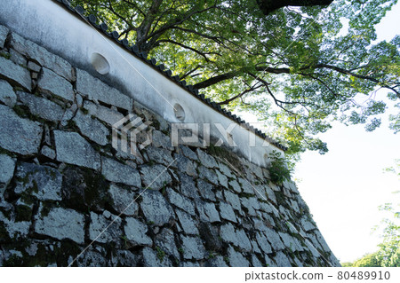[Okayama Prefecture] Okayama Castle 80489910
