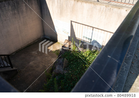 [岡山縣]岡山城 80489918