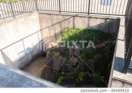 [岡山縣]岡山城 80489919
