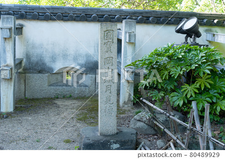 [岡山縣]岡山城 80489929