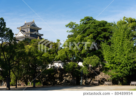 [岡山縣]岡山城 80489954