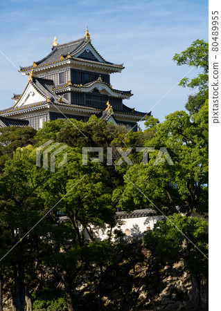[岡山縣]岡山城 80489955