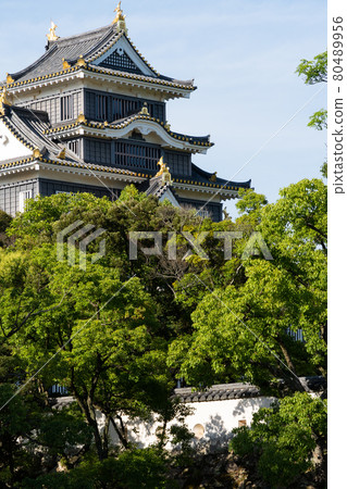 [Okayama Prefecture] Okayama Castle 80489956