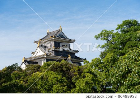 [Okayama Prefecture] Okayama Castle 80489958