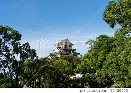 [Okayama Prefecture] Okayama Castle 80489960