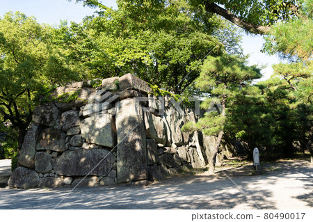 [岡山縣]岡山城 80490017