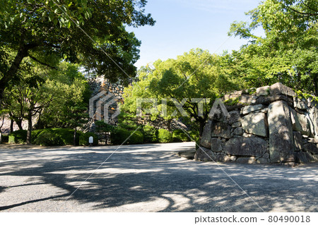 [Okayama Prefecture] Okayama Castle 80490018