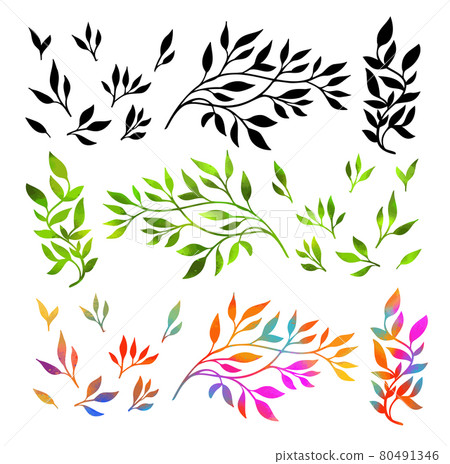 The object is a graceful multicolored twig with leaves. Set of rainbow beautiful twigs. Mixed media. Vector illustration The object is a graceful multicolored twig with leaves. Set of rainbow beautiful twigs. Mixed media. Vector illustration 80491346