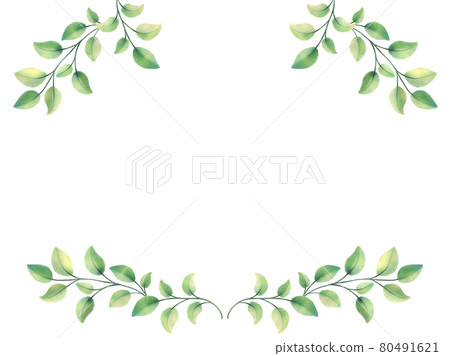Illustration frame of fresh green leaves and branches Illustration frame of fresh green leaves and branches 80491621