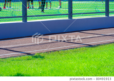 public stadium for sports - team of soccer players on a football field, running track closeup and green grass 80491913