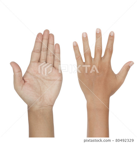 hand symbol isolated on a white background hand symbol isolated on a white background 80492329