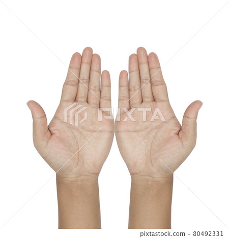 hand symbol isolated on a white background hand symbol isolated on a white background 80492331