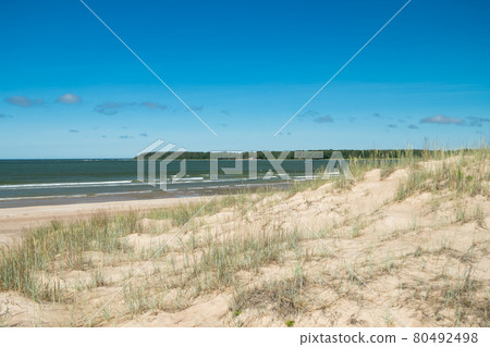 Beautiful sandy beach Yyteri at summer, in Pori, Finland Beautiful sandy beach Yyteri at summer, in Pori, Finland 80492498