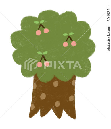 Cherry tree Cherry tree 80492544